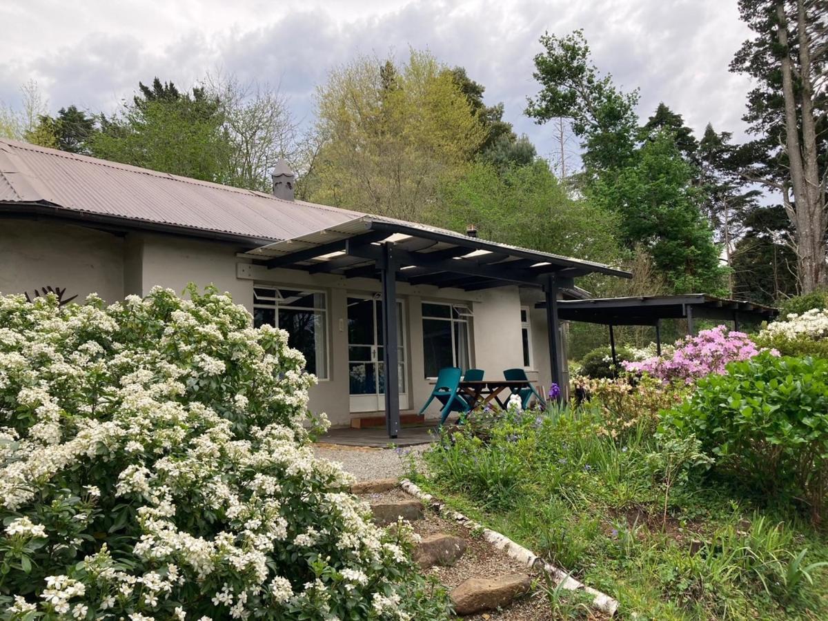 Bramber Cottage Hogsback Exteriör bild