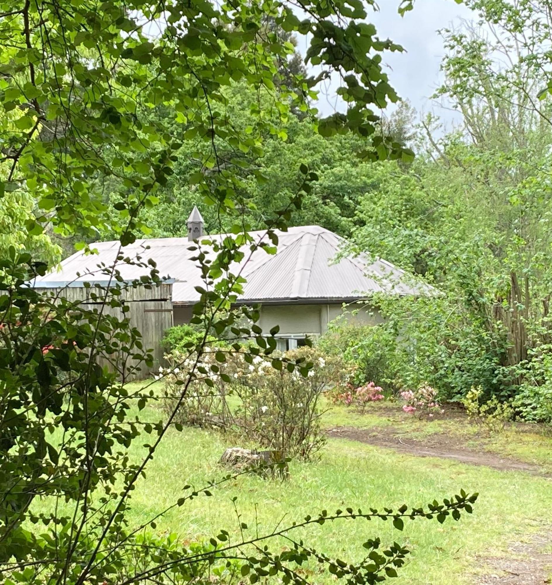 Bramber Cottage Hogsback Exteriör bild