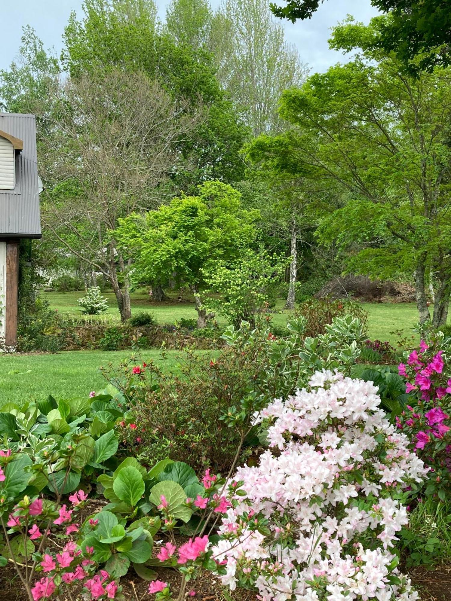 Bramber Cottage Hogsback Exteriör bild