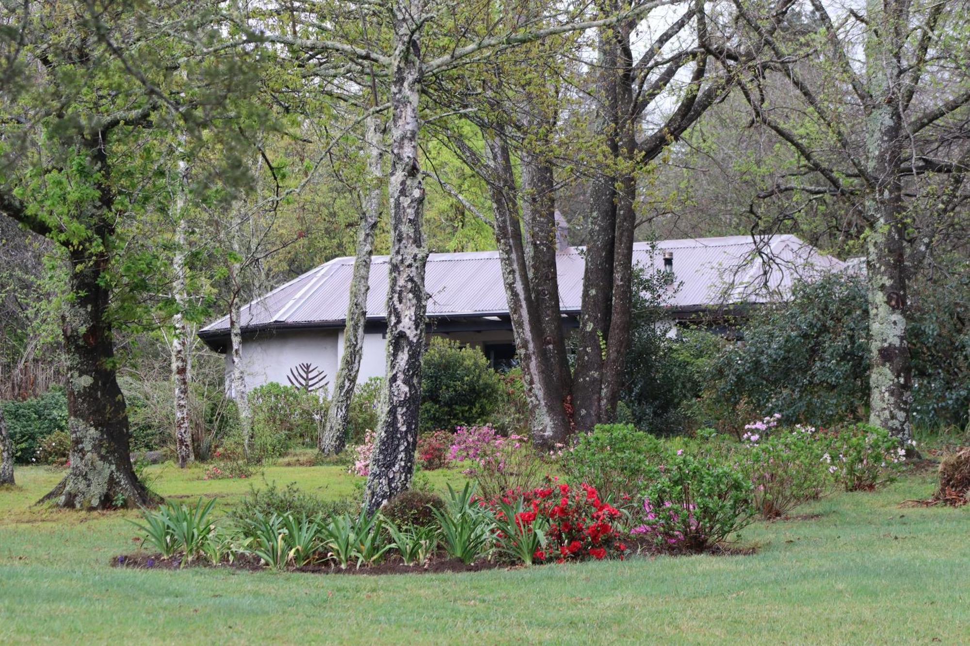 Bramber Cottage Hogsback Exteriör bild